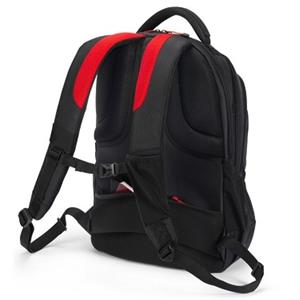 Image1